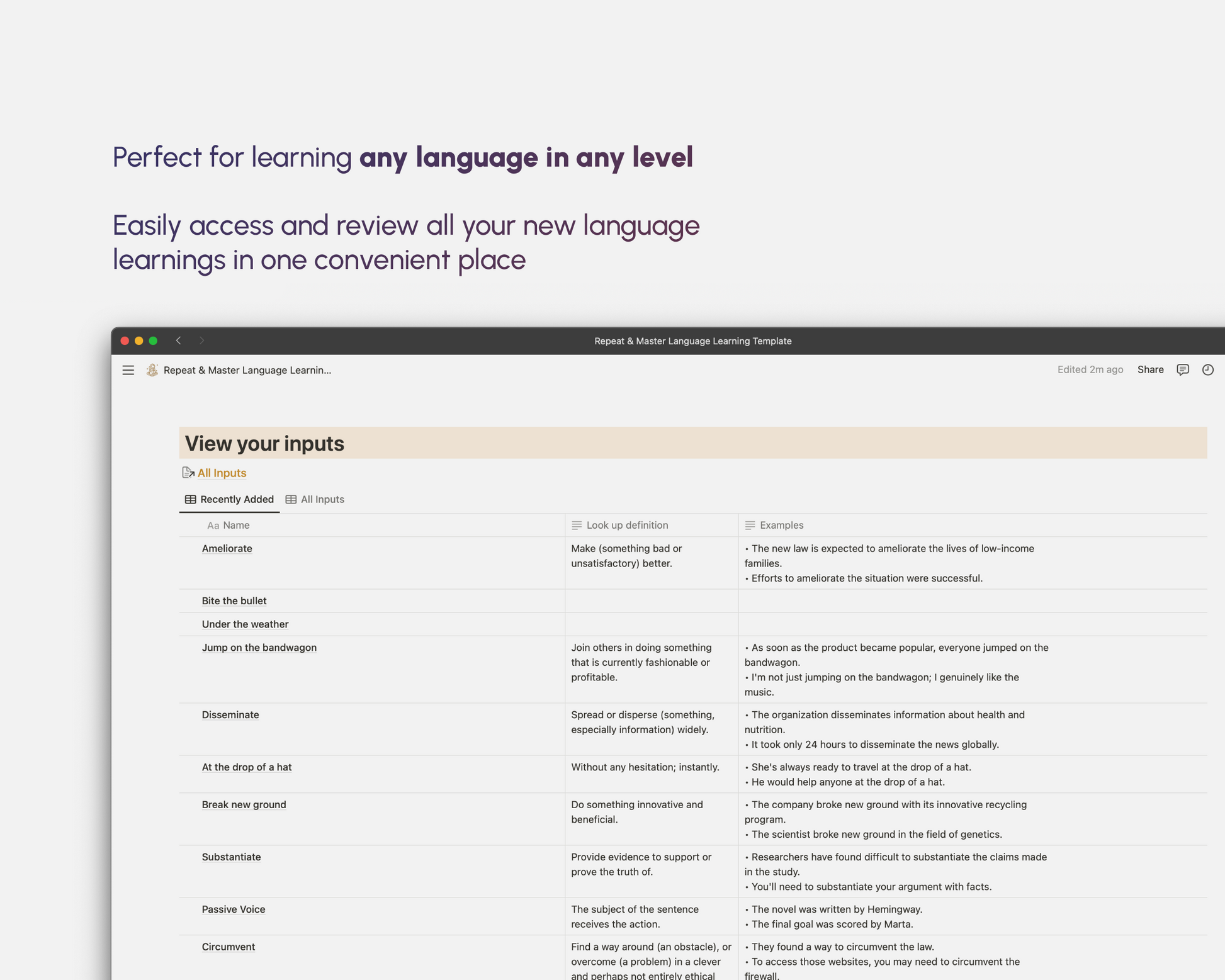 A Notion template interface highlighting a view for language learning inputs with examples of phrases and idioms, designed for easy access and review